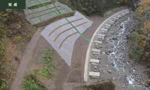 横谷(トウゾウ谷)復旧治山工事
